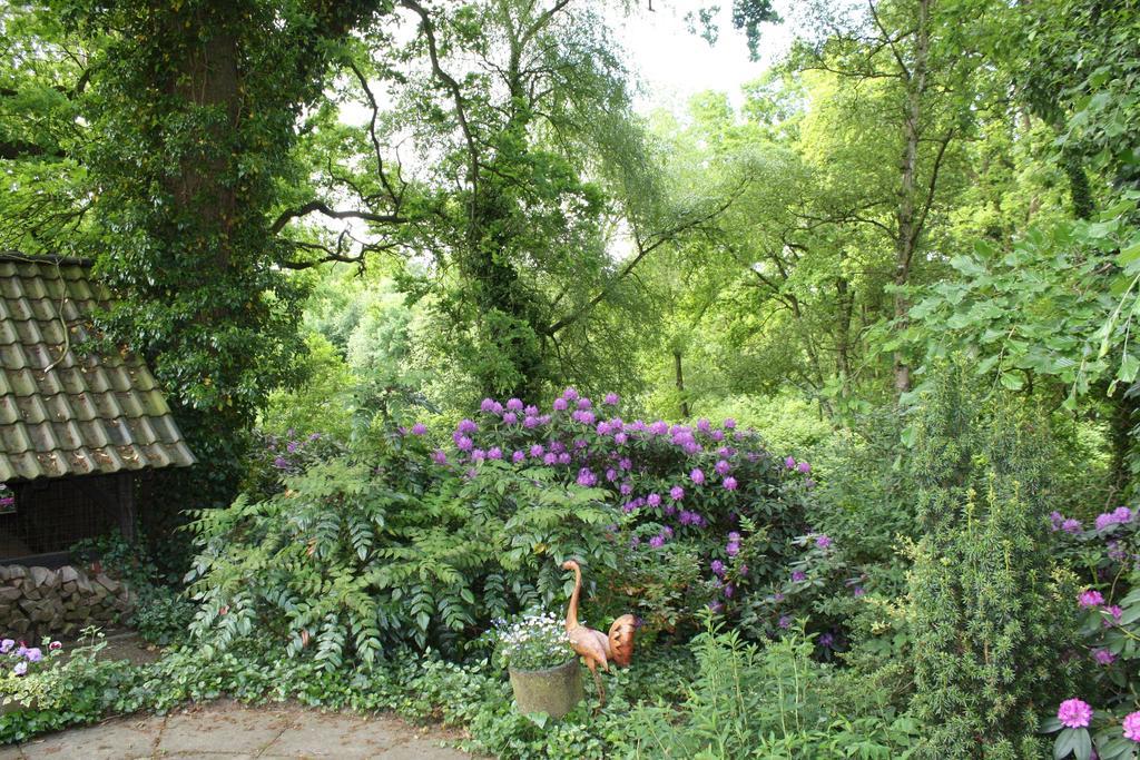 Ostehof Weertzen Villa ภายนอก รูปภาพ